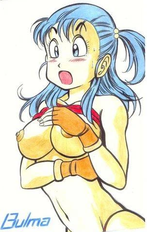 bulma-briefs