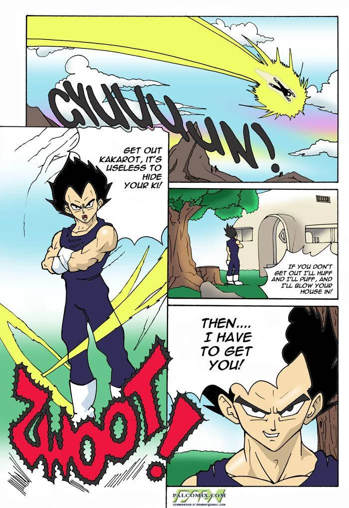 bulma-briefschichison-gokuvegeta