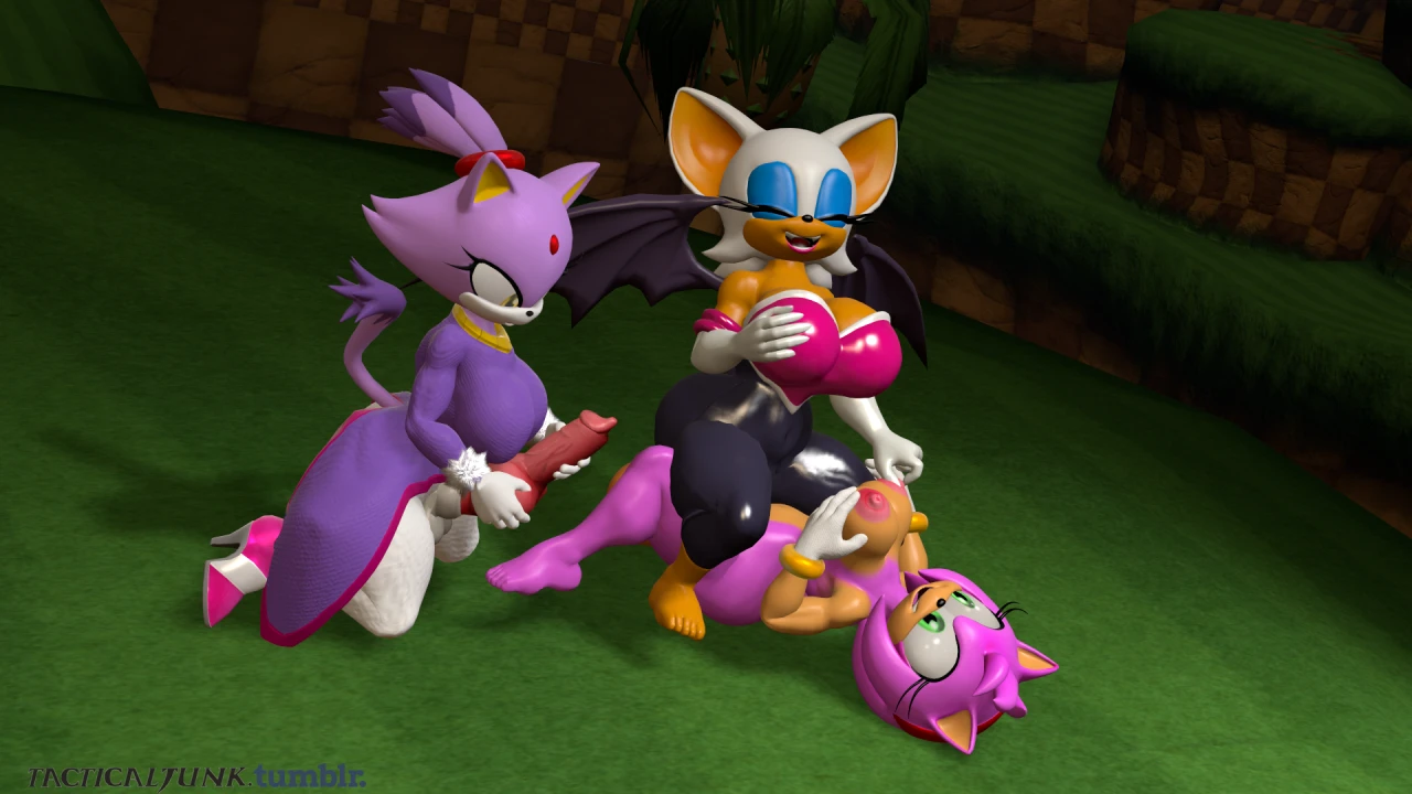 amy-roseblaze-the-catrouge-the-bat