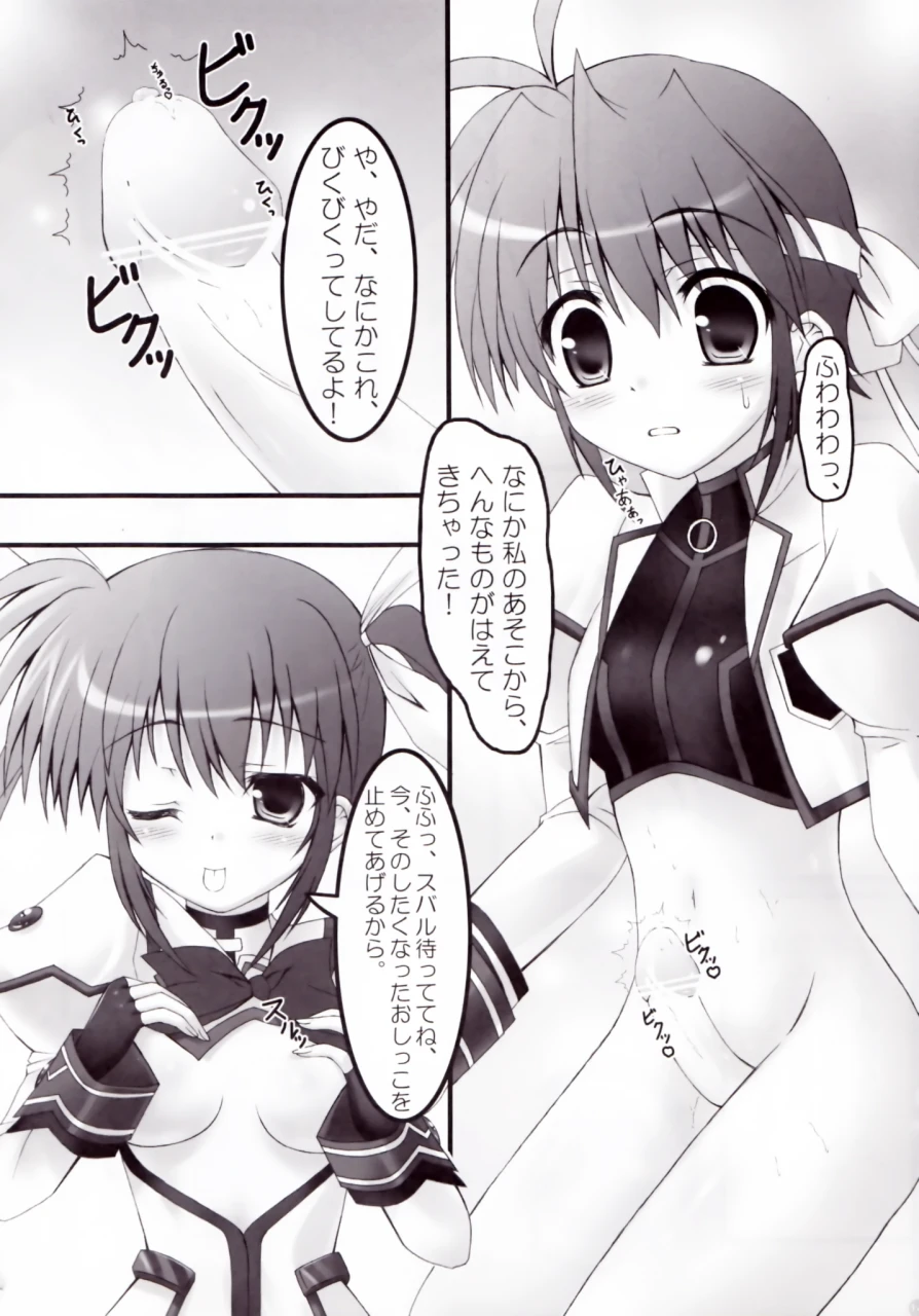 subaru-nakajimatakamachi-nanoha