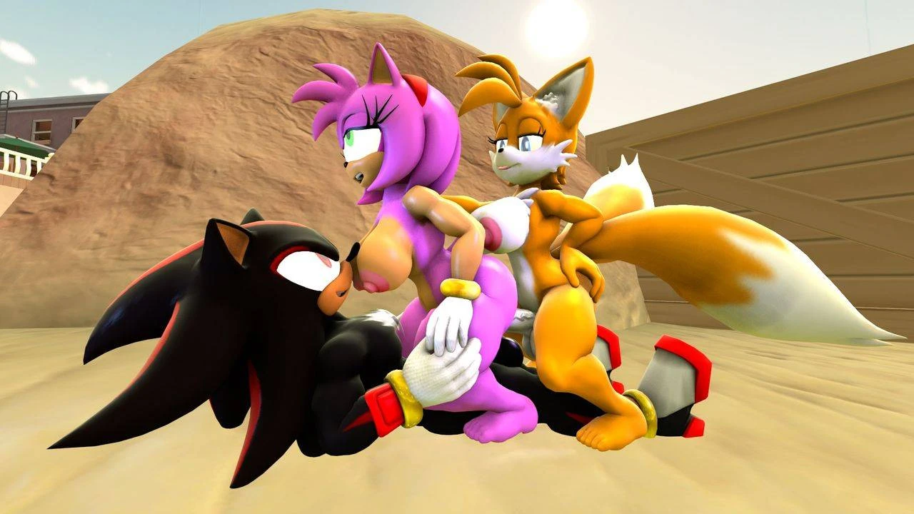 amy-roseshadow-the-hedgehogtailstailsko