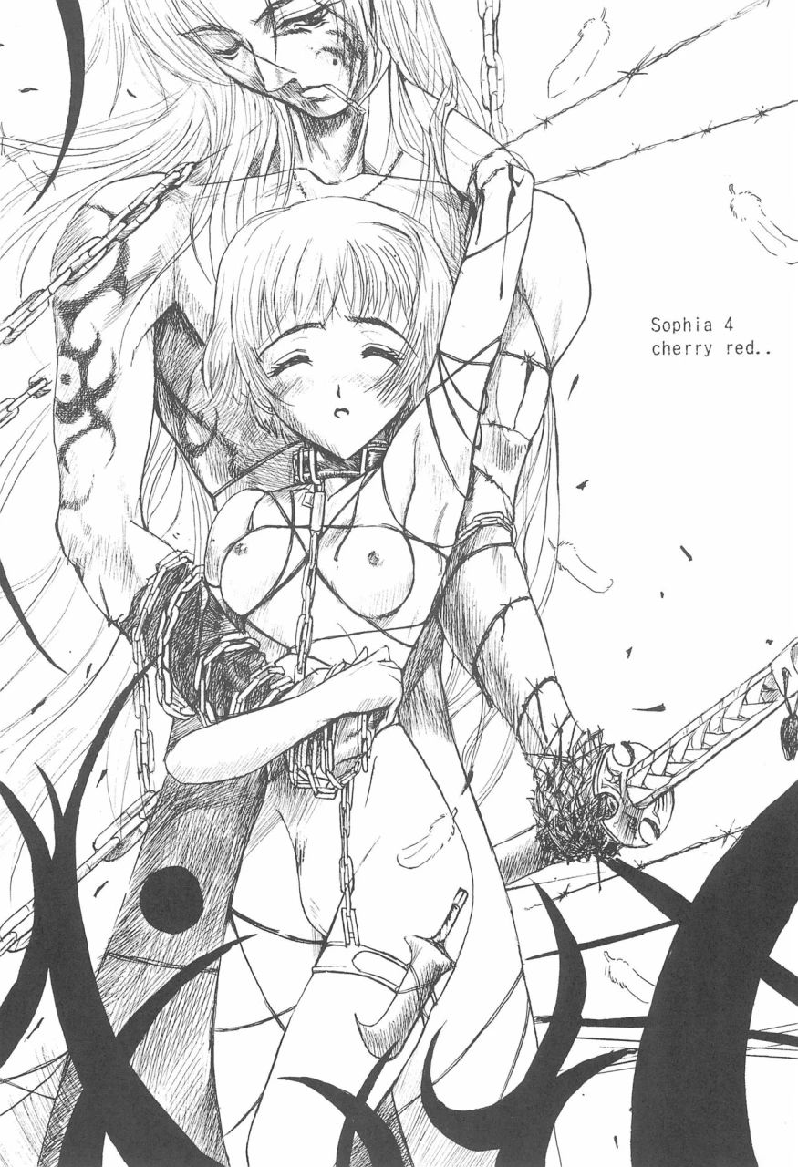 el-project-various-sophia-cherry-red-cardcaptor-sakura