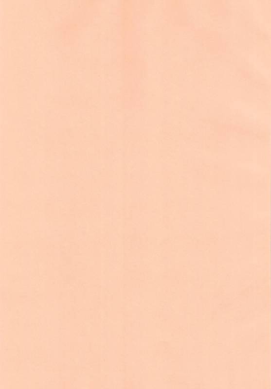 (C93) [R-Deco (Yusa)] Animal Erographic ~Ookina Kemono~ (Kemono Friends)_02