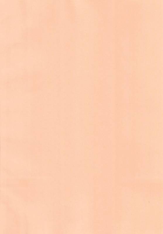 (C93) [R-Deco (Yusa)] Animal Erographic ~Ookina Kemono~ (Kemono Friends)_03