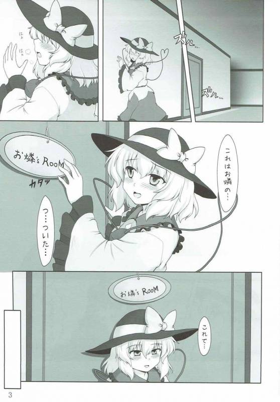 (Reitaisai 11) [E project (Go3)] Cat Paranoia (Touhou Project)_01