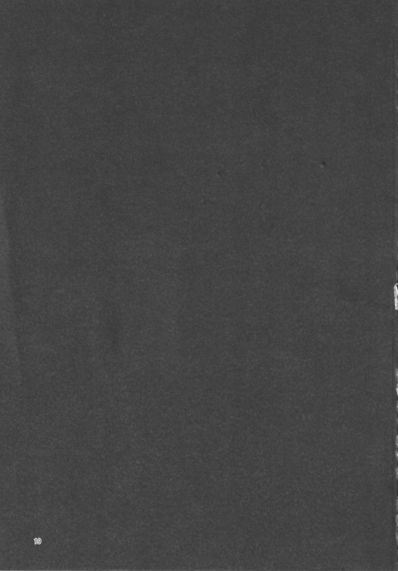 [Pochicolo Nouen (Pochicolo)] Imouto ga Tanemaki Suru node (Touhou Project)_17