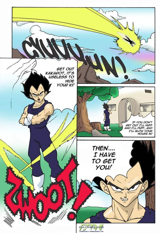 bulma briefs+chichi+son goku+vegeta