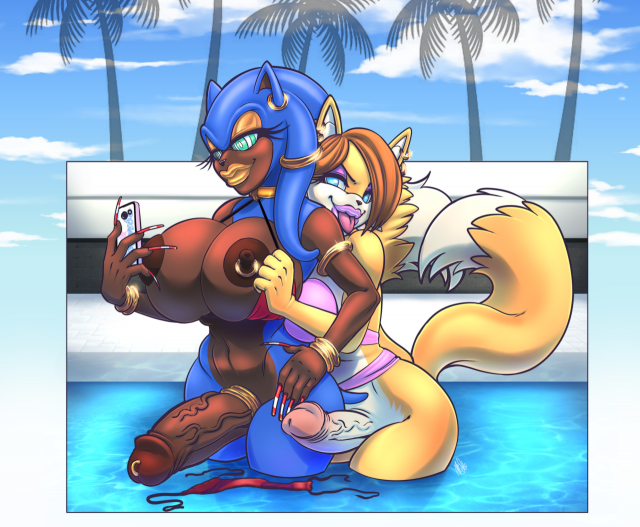 sonic the hedgehog+tails