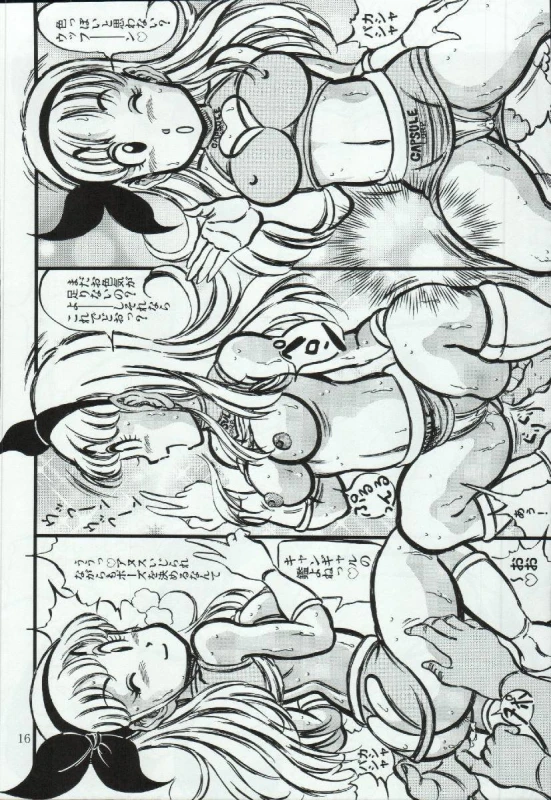 bulma briefs