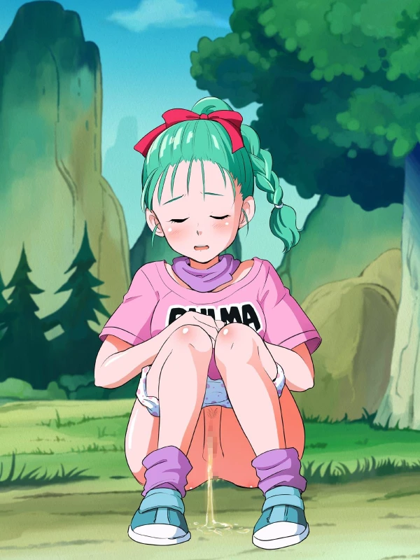 bulma briefs