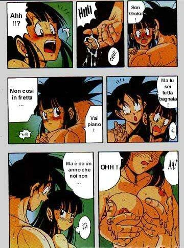 chichi+son goku