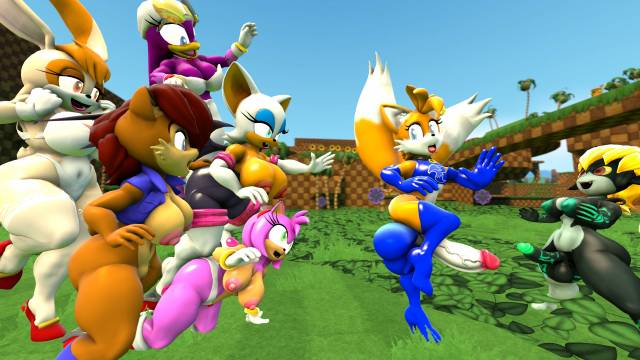 amy rose+midna+rouge the bat+sally acorn+tails+vanilla the rabbit+wave the swallow