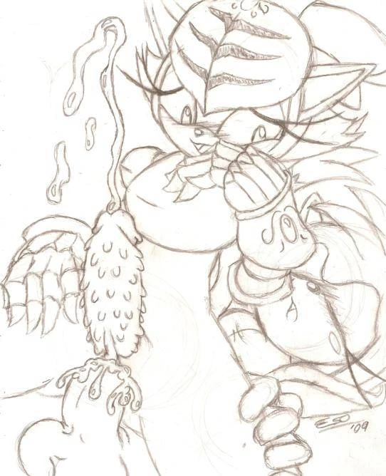 amy rose+blaze the cat