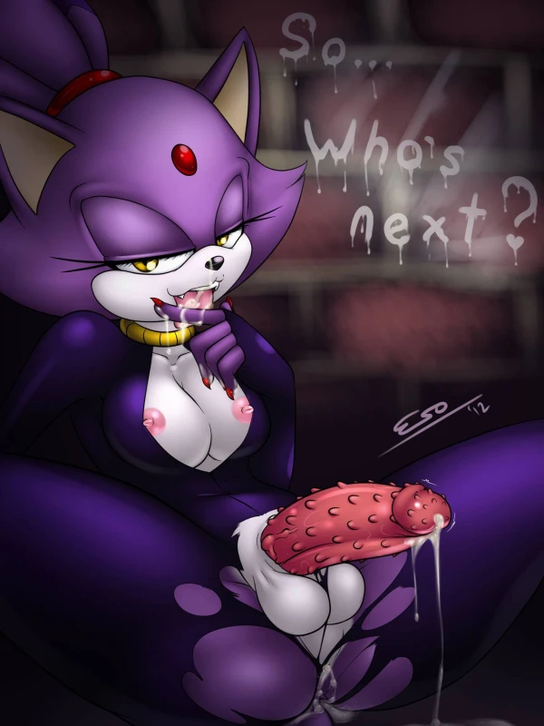 blaze the cat